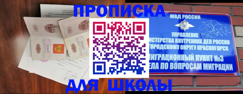 прописка поиск в Нижнекамске
